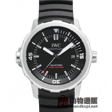 IWC アクアタイマー オートマティック 2000 “35 イヤーズオーシャン 2000”【IW329101】 Aquatime