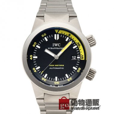IWC アクアタイマー オートマティック 2000【IW353803】 Aquatimer Automatic 2000【IW3