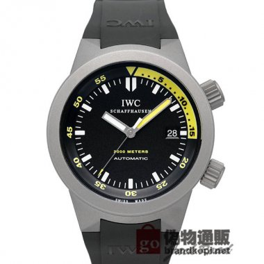 IWC アクアタイマー オートマティック 2000【IW353804】 Aquatimer Automatic2000【IW35