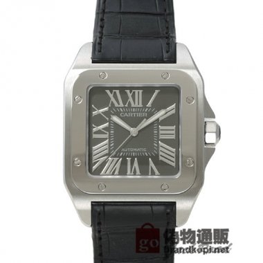 CARTIER カルティエ時計 サントス100 限定モデル【W20134X8】 Santos 100 Limited Edit
