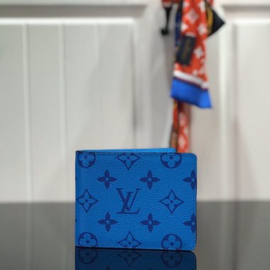 ルイヴィトン財布 Louis Vuitton LV MULTIPLE WALLET マルチウォレット 財布 M60895LC