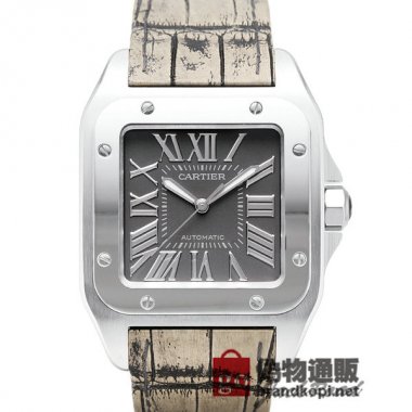 CARTIER カルティエ時計 サントス100 限定モデル【W20134X8】 Santos 100 Limited Edit
