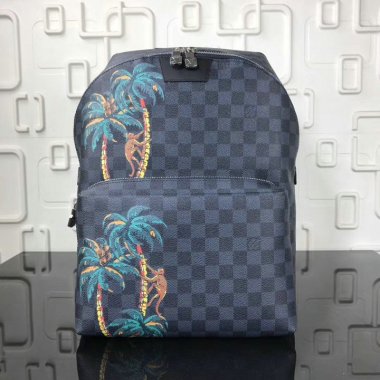 ルイヴィトン バッグ LOUIS VUITTON アポロバック LV APOLLO Backpack N50003