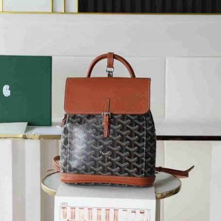 Goyard ゴヤール アリン ミニリュック クラシックモノグラム ブラウン 020194 サイズ:20x19cm