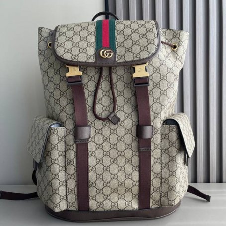 Gucci オフィディア リュック GGスプリーム コーヒーブラウン 839110 サイズ:46x35x12cm