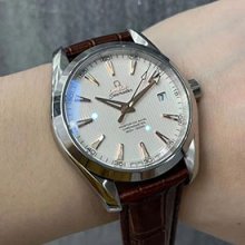 OMEGA 231.13.42.21.02.002 シーマスター アクアテラ