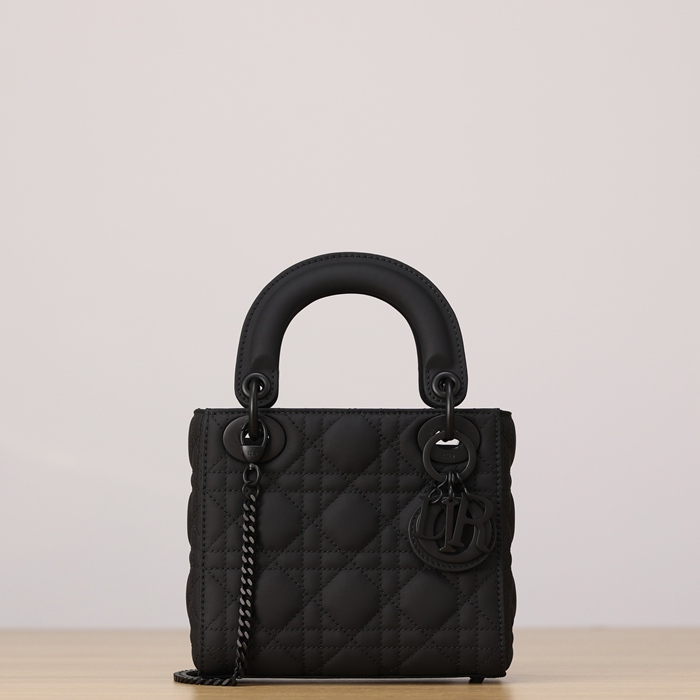 ディオール ハンドバッグ レディディオール 17×15×7cm