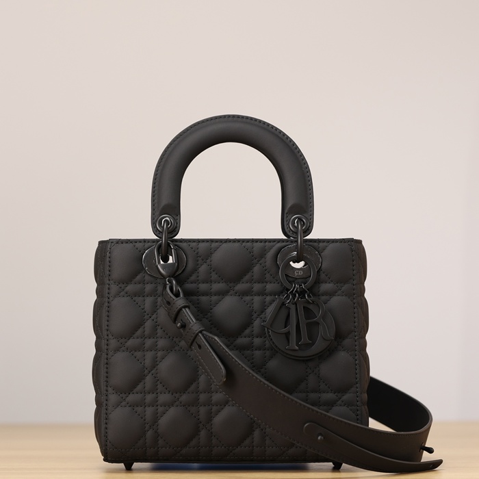 ディオール ハンドバッグ レディディオール 20×17×8cm