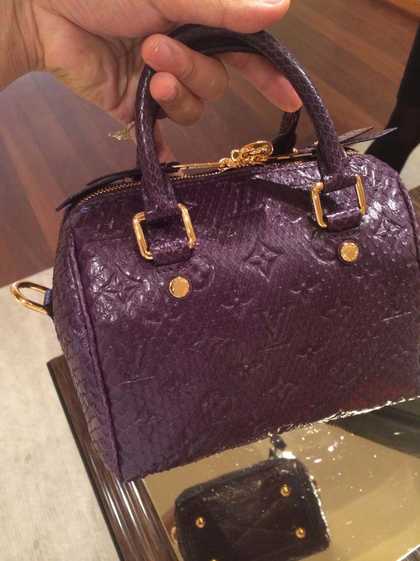 Louis Vuitton Python Skin Speedy 20 Bag N91375 Famboise
